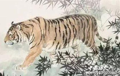 属虎的人都有哪些性格特点，属虎的人都有哪些性格特点男（生肖虎简介：生肖虎是怎么来的）