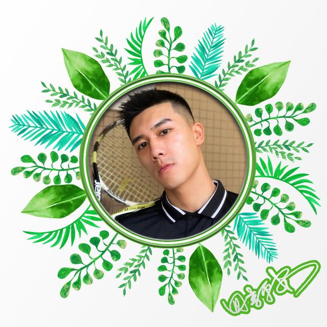 微信背景图绿色，绿色背景图头像（20张绿色叶子主题）