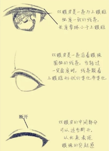 快来学习定制专属睫毛画法，怎么画睫毛（眼睫毛与双眼皮的画法技巧）