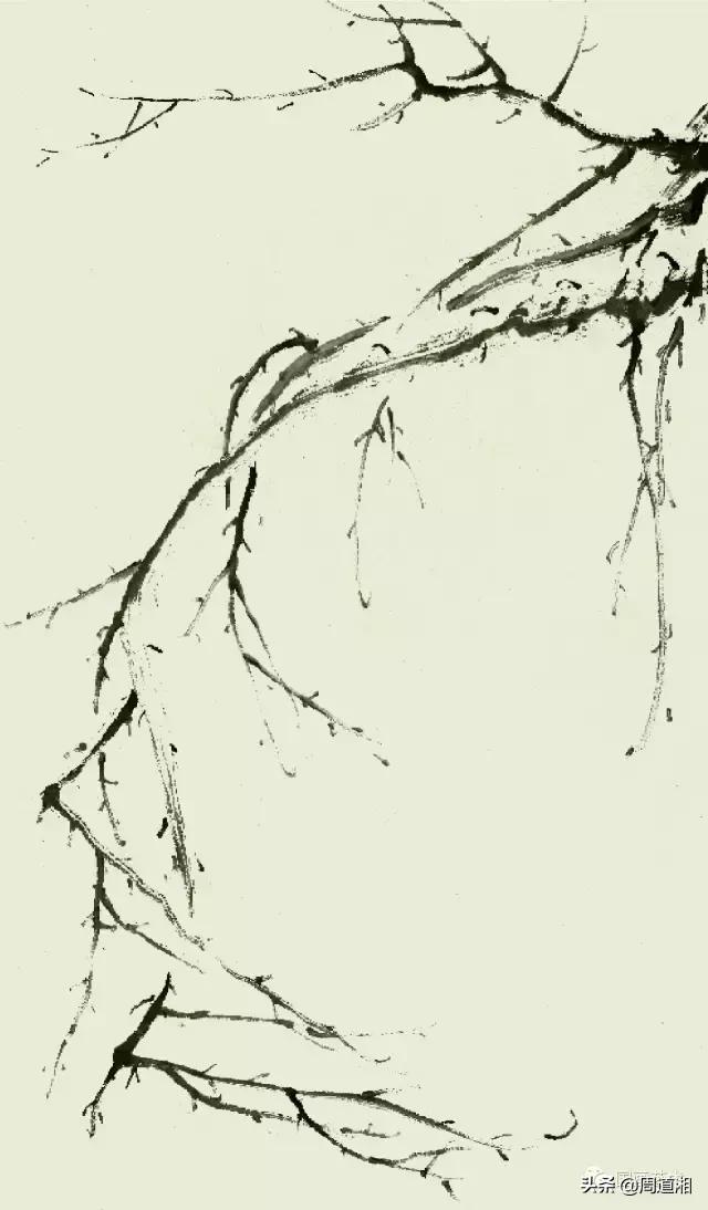 梅花13怎么手绘画，教梅花13怎么画（国画入门教程——梅花的画法）