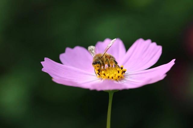 破窗效应是什么意思，破窗效应告诉我们的道理（原来这就是破窗定律）