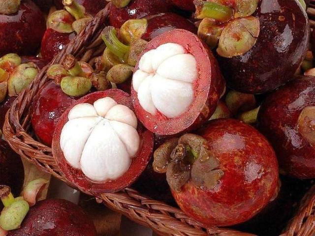 榴莲成熟的季节是几月，榴莲季节是哪几个月（夏季到冬季的水果成熟表来了）