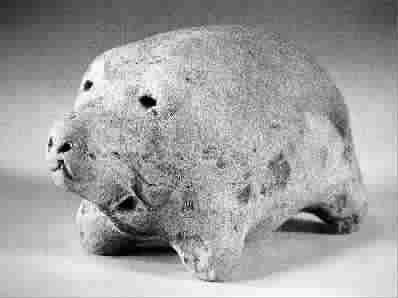 猪在古代的称呼，猪在古代叫什么（“猪”与“家”的汉字演变与文化内涵）