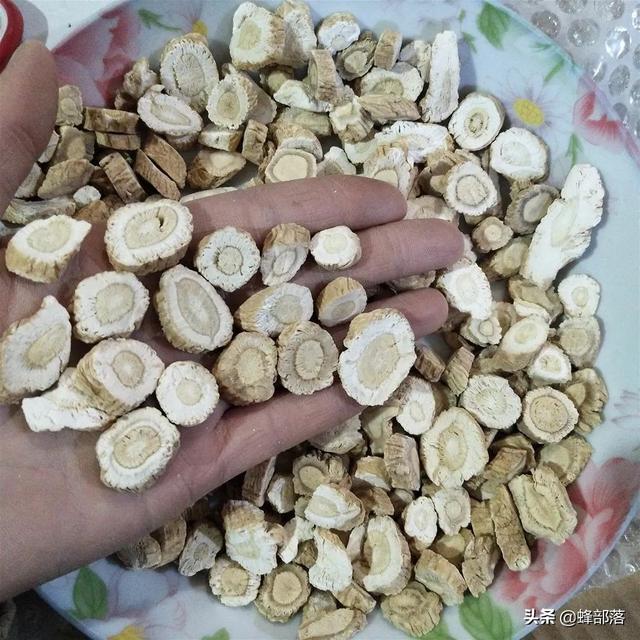 什么药材好种植，这5种中药材，年年高价（这5种药材种植产量高）