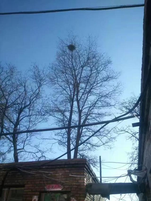 相思引，相思引浮生梦小说（相思引诗词大全）