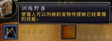 60年代猎人宠物排名，60年代猎人练级天赋加点（猎人宠物的基础知识）