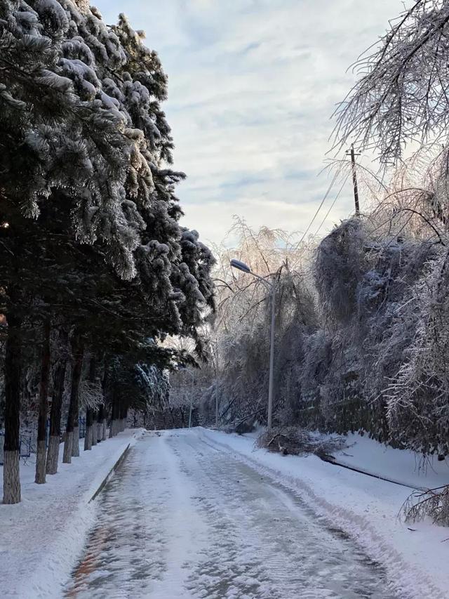 东北师范大学人文学院能三本升二本吗，东北师范大学人文学院是全日制本科学校国家承认吗（<二>东北师范大学人文学院）