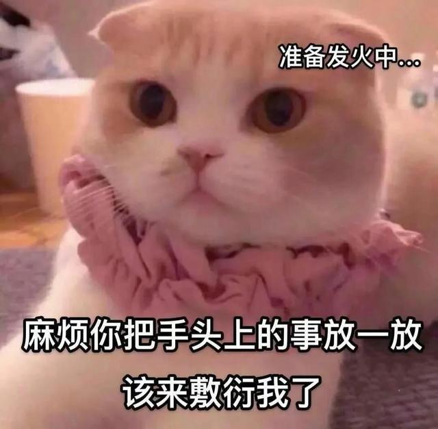 一对可爱狗狗表情包图集，情侣专用狗狗猫猫可可爱爱沙雕表情包