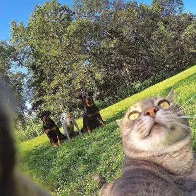 植物大战僵尸头像，植物大战僵尸6人团头微信（在吗？组队换头像啦）