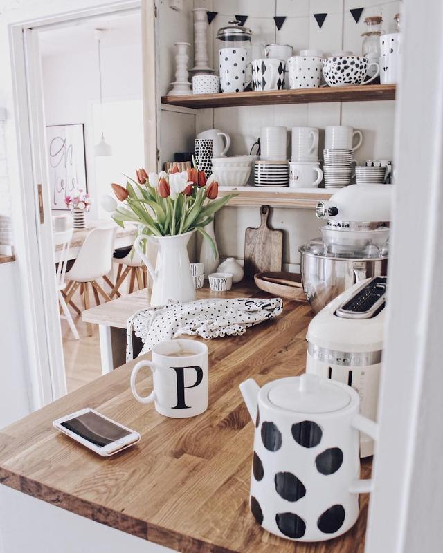 白玫瑰ins，白玫瑰ins风照片（2019年风靡ins的4种装饰鲜花图片）