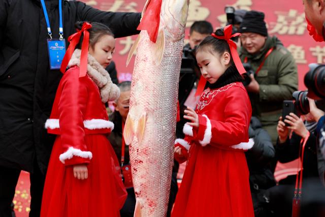 海安俗称铜头的是什么鱼，海铜鱼是什么鱼图片（第九届里下河捕鱼节开幕式）