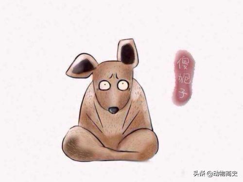 培育狍子的技巧是什么，狍子养殖利润和成本（靠自己的本事变成了国家二级保护动物）