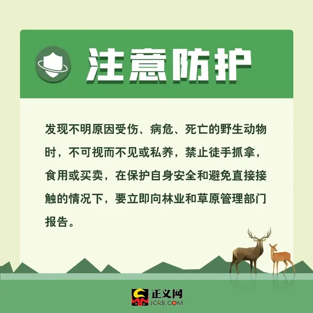 保护动物的方法，保护野生动物，你应该这样做