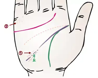 掌纹诊病实用图谱，看看你的掌纹：预示者不同疾病（可以诊断肝癌、糖尿病、高血压、妇科病、脑溢血）