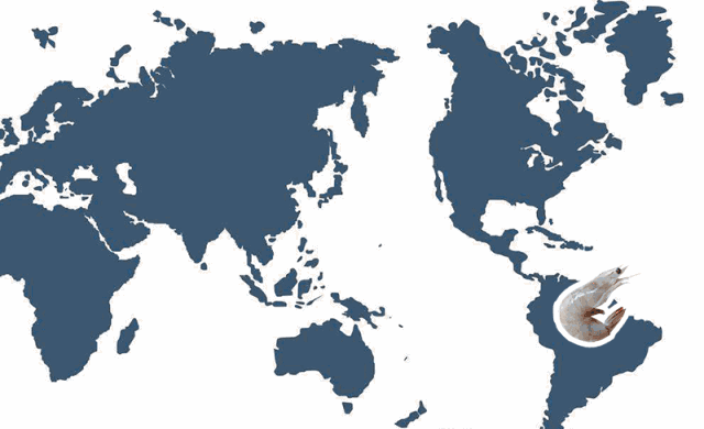 新鲜槟榔怎么吃，新鲜槟榔怎么吃好吃（jio颗槟榔直个飘”阿华大虾来收味）