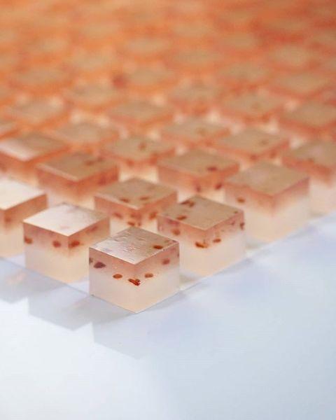 日本和果子的制作方法，日本食玩果子制作视频（日本匠人做出这么美的“和果子”）