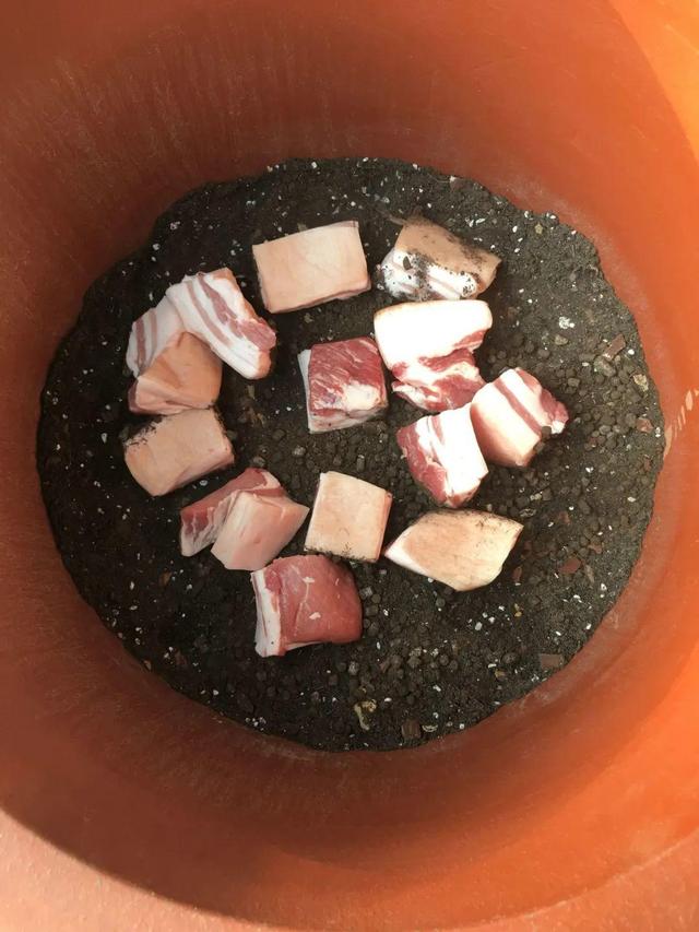 如何自制氮肥，自制氮肥怎么做（氮磷钾肥别买了）