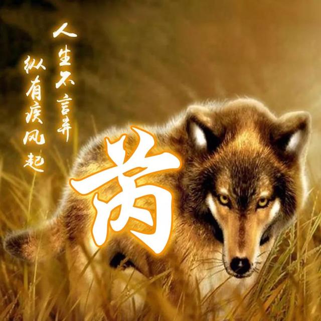 狼图片头像 凶猛 霸气 冷酷，100张姓氏霸气狼头像（100张“血性狼”姓氏头像、送给在困境中坚持梦想的你）