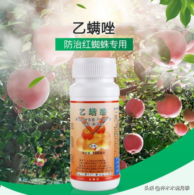月季常见病虫害及防治方法，月季的病虫害防治（十二种月季常见病害防治教程）