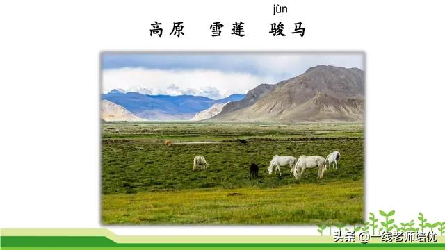 什么的骏马填空成语，什么的骏马填合适的成语（部编版小学语文二年级上册《语文园地七》重点知识+图文解读）