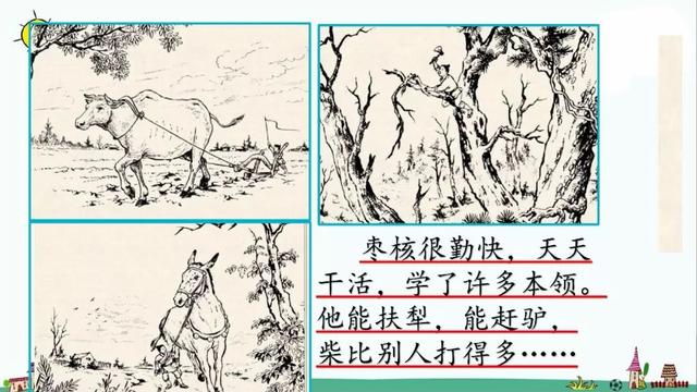 善罢甘休的意思，部编版三年级下册第28课《枣核》知识点+图文讲解