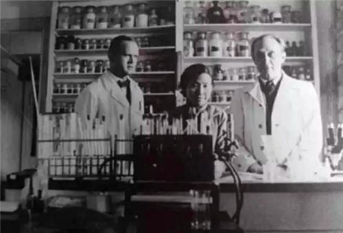 曾昭燏（曾昭燏读音，一代才女曾昭燏读音（不考虑婚事不计较薪酬）