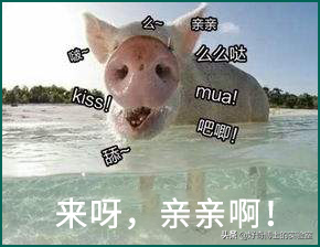 如何舌吻，舌头接触面积得多大