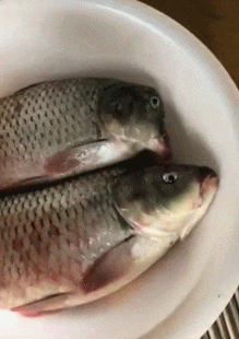 梦见自己穿裙子，梦见自己穿裙子是怎么回事（老婆第一次穿裙子坐公交吓得身后的小哥连连后退）