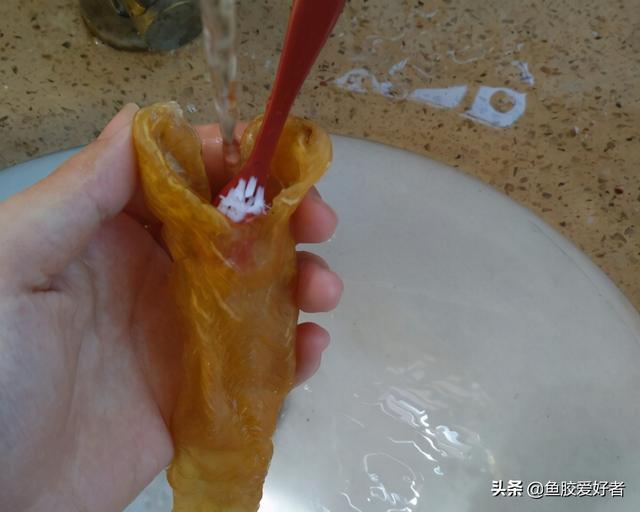 鱼胶是什么，鱼胶是什么原料制成的（学会这些买鱼胶再也不怕被坑）