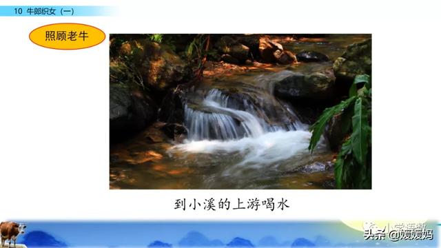 恋恋不舍的意思，恋恋不舍的意思是什么（部编版五级年语文上册第10课《牛郎织女）