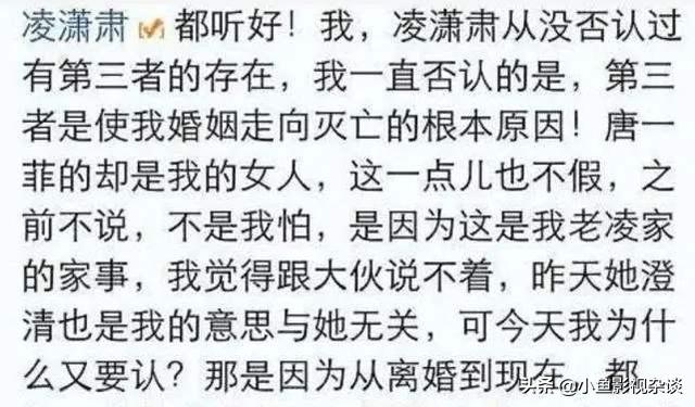 姚晨与凌潇肃离婚8年，真实原因曝光，看似感情破裂实则早有预谋