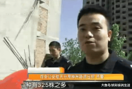 罂粟怎么读，大烟学名叫什么罂粟怎么读（6旬老人种325株罂粟被举报）