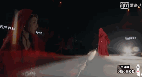 字母站是什么意思，什么叫字母站（王思聪前女友豆得儿经历了什么）