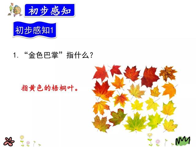 金黄的什么填词语，金黄的什么填空（部编版三年级语文上册第5课《铺满金色巴掌的水泥道》图文讲解）