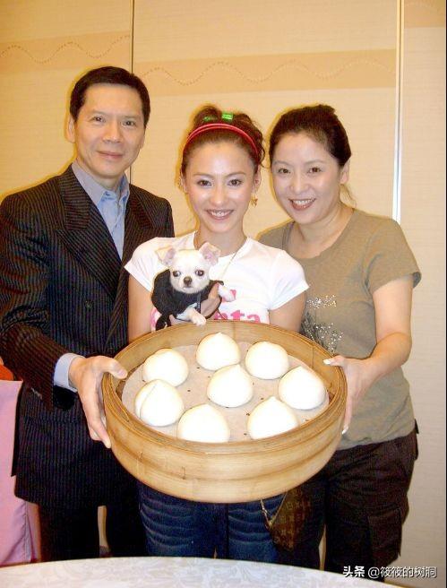 张柏芝什么时候离婚，张柏芝谢霆锋什么时候离婚（哪怕没有王菲和照片事件）