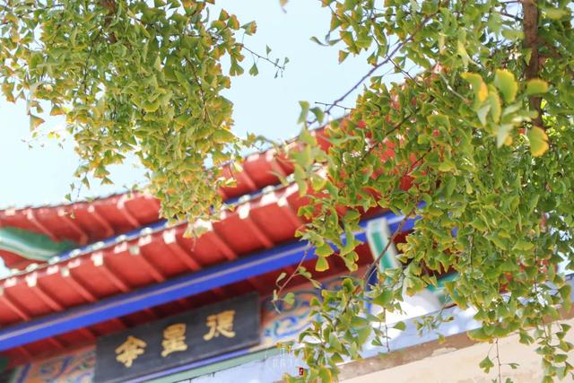 许昌旅游景点有哪些,许昌旅游景点有哪些地方(带你感受专属秋天的浪漫景色) 许昌旅游景点有哪些,许昌旅游景点有哪些地方(带你感受专属秋天的浪漫景色)