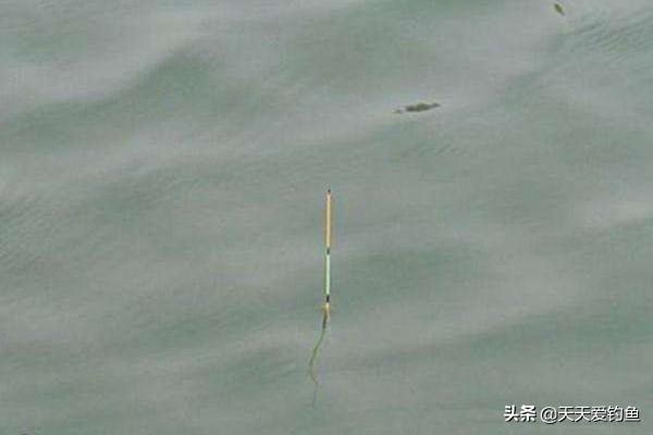钓鲫鱼怎么调漂，钓鲫鱼调漂的正确方法（浮漂应该这样调）