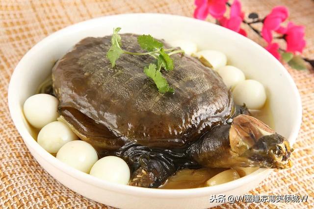 清蒸甲鱼的做法,清蒸甲鱼怎么做法好吃窍门(美食做法——清蒸甲鱼) 清蒸甲鱼的做法,清蒸甲鱼怎么做法好吃窍门(美食做法——清蒸甲鱼)