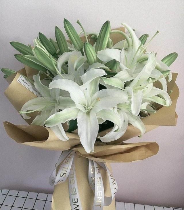 铃兰花的花语，从此买花送人不出错（铃兰花的花语与寓意）