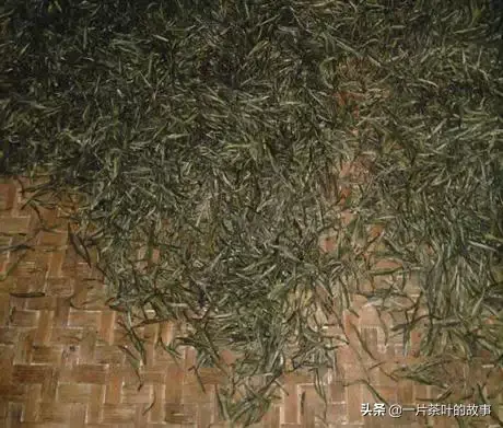 新茶是什么意思，你买的新茶未必胜陈茶