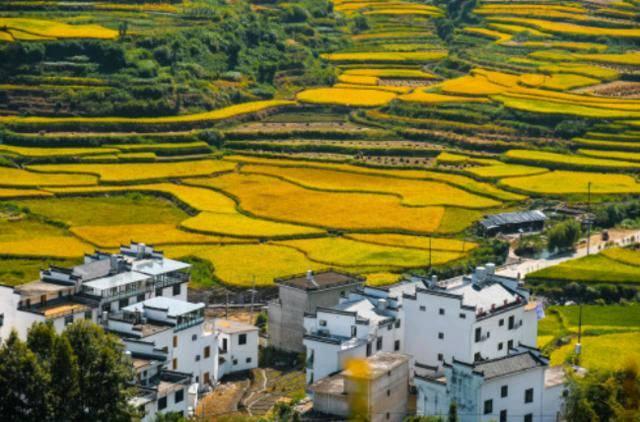 江西上饶什么源，江西上饶什么源什么岭（听名字大家都以为是个小镇）