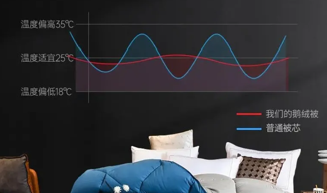 什么被子最保暖，什么被子最暖和（这款羽绒被一整晚恒温26℃）