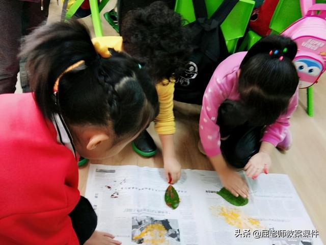 怎么画一张树叶拓印画，怎么画一张树叶拓印画图片（屈老师中班美术公开课教案《树叶拓印》）