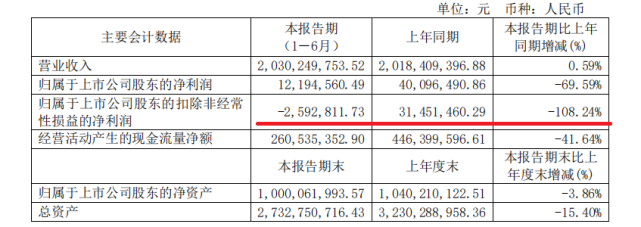 新日集团（新日股份不赚钱了）