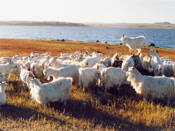 黑龙江省四大穷县，黑龙江省四大穷市（黑龙江省萝北县）