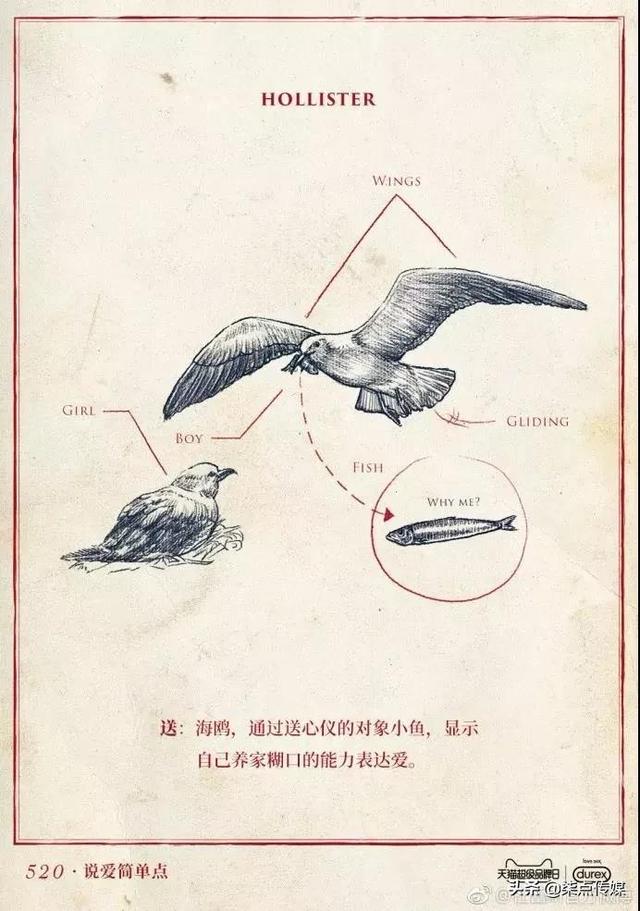 推销洗发水的万能句子，精选的清扬洗发水广告语大全（520营销文案又来撩人啦）