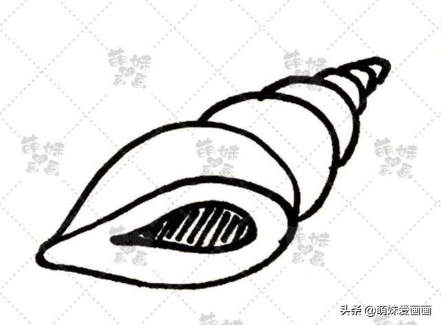 海洋生物简笔画，海洋生物简笔画图片（学画可爱的海洋生物简笔画）
