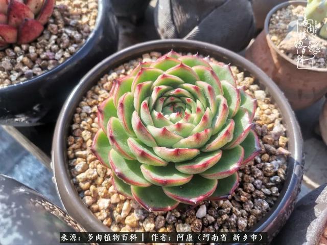 2021九·一八事变是多少周年，2021年是九一八事变的几周年（献给2021最好的春天）