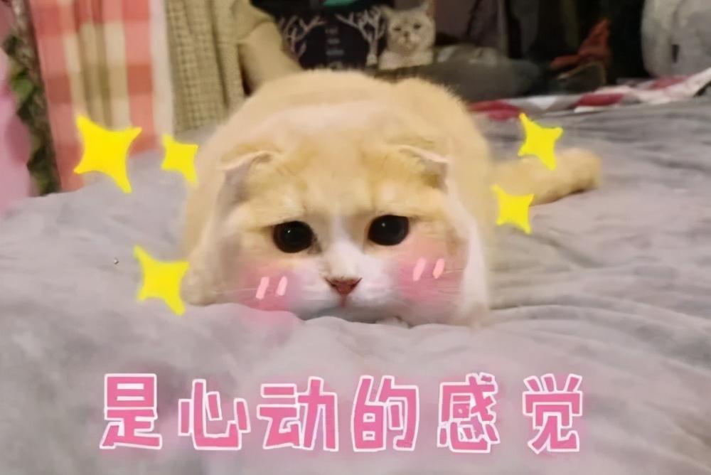 东京大学校训（江湖急救）