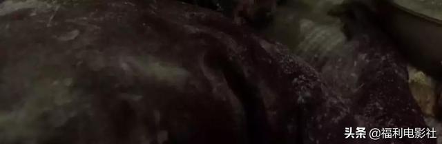 都挺好一共多少集，都挺好多了多少集（4集讲完《都挺好》苏明玉的故事）